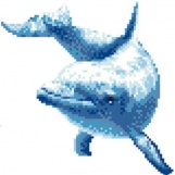 Большой дельфин