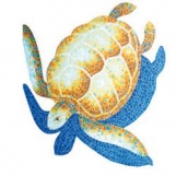 Черепаха D (подколка)